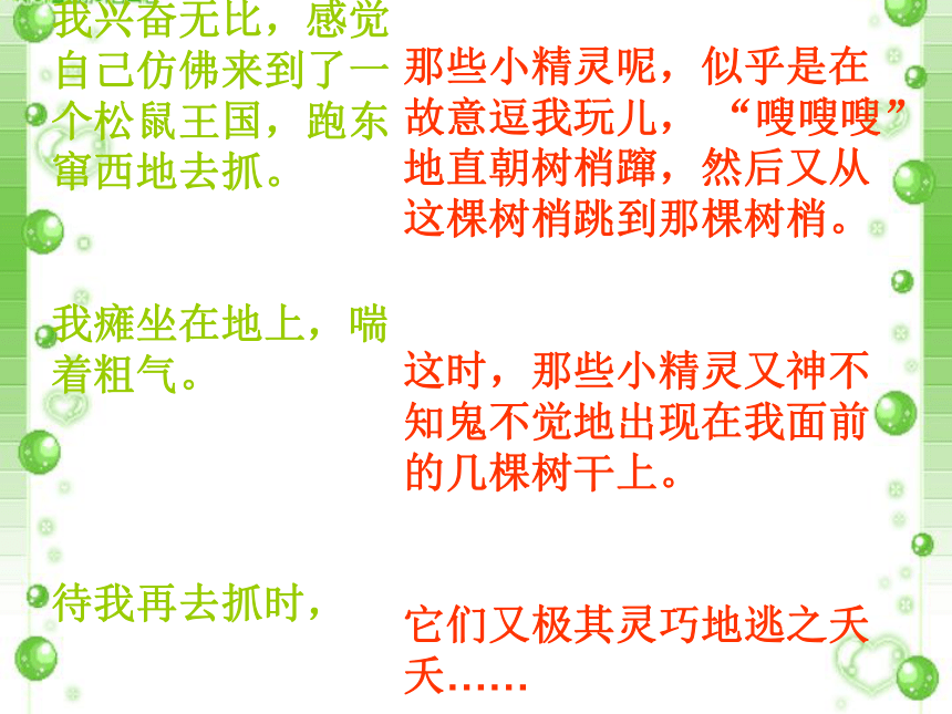 《那只松鼠》课件