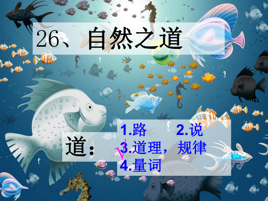 语文五年级上西师大版7.26《自然之道》课件2