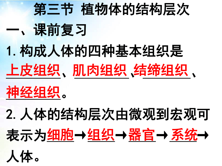 2.2.3植物体的结构层次 课件（25张PPT）