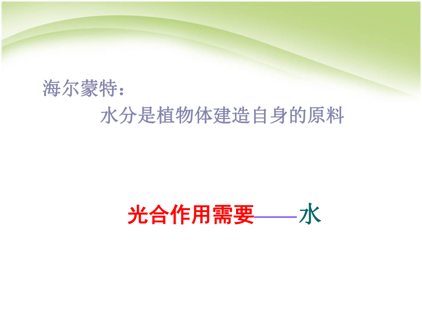 3.5.1光合作用吸收二氧化碳释放氧气  课件（35张PPT）