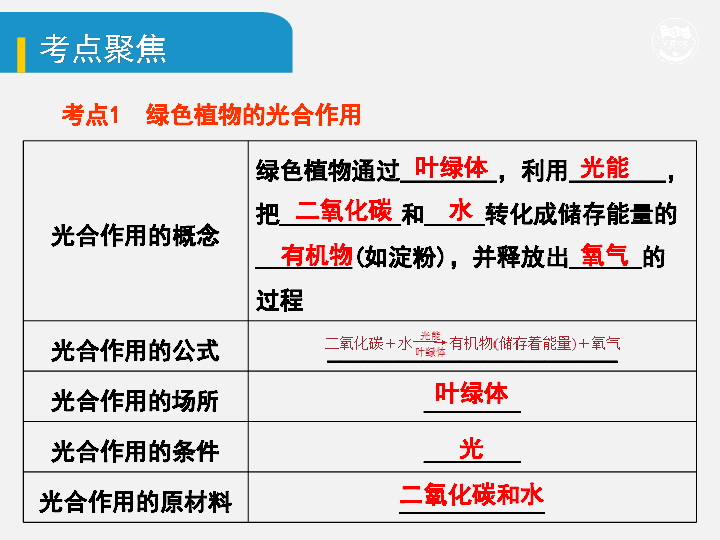 2020年中考生物基础知识复习：四、生物圈中的绿色植物（三）绿色植物的光合作用和呼吸作用课件(37张ppt)