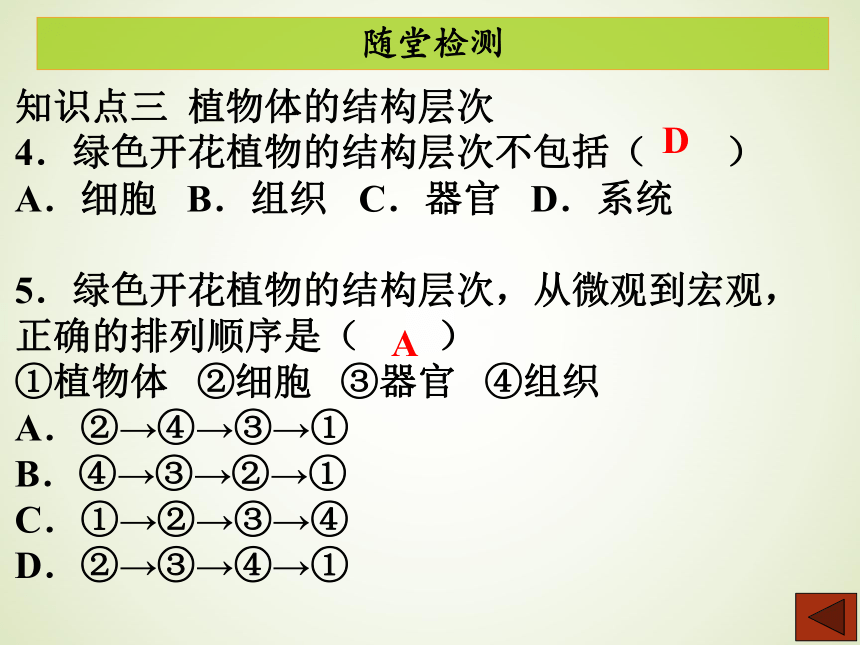 第二单元 第二章  第三节植物体的结构层次 课件（共31张PPT）