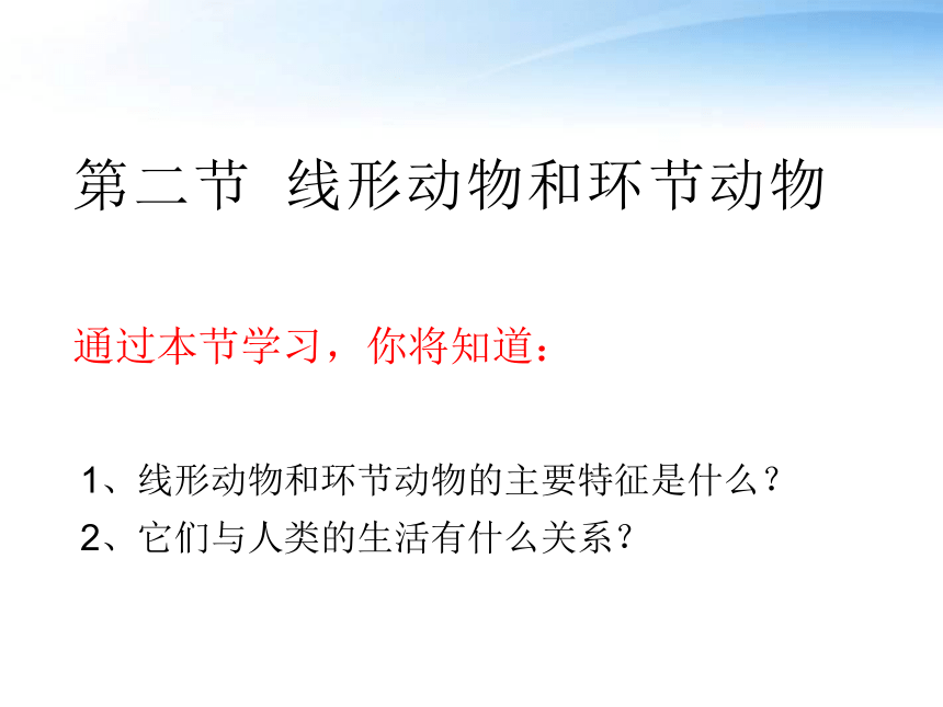 人教版生物八年上 第一章第二节线形动物和环节动物