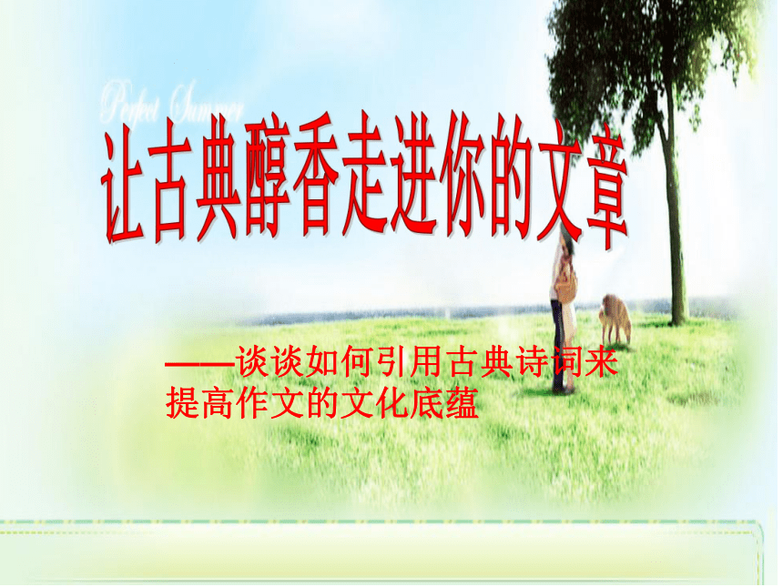 课件预览