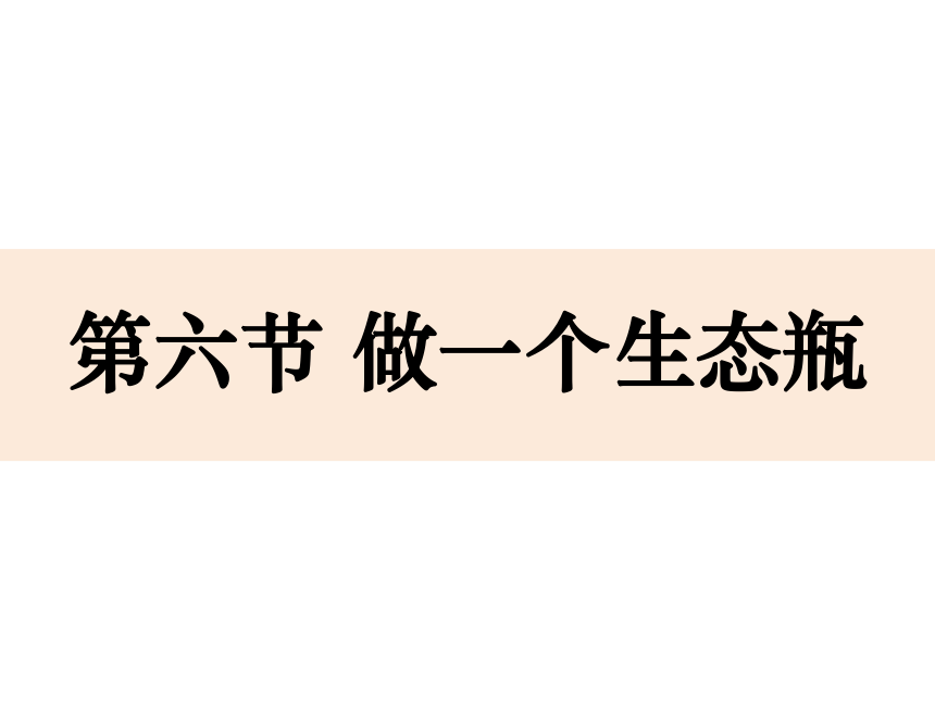 教科版（2001）五年级科学上册 1.6做一个生态瓶（课件18张ppt）