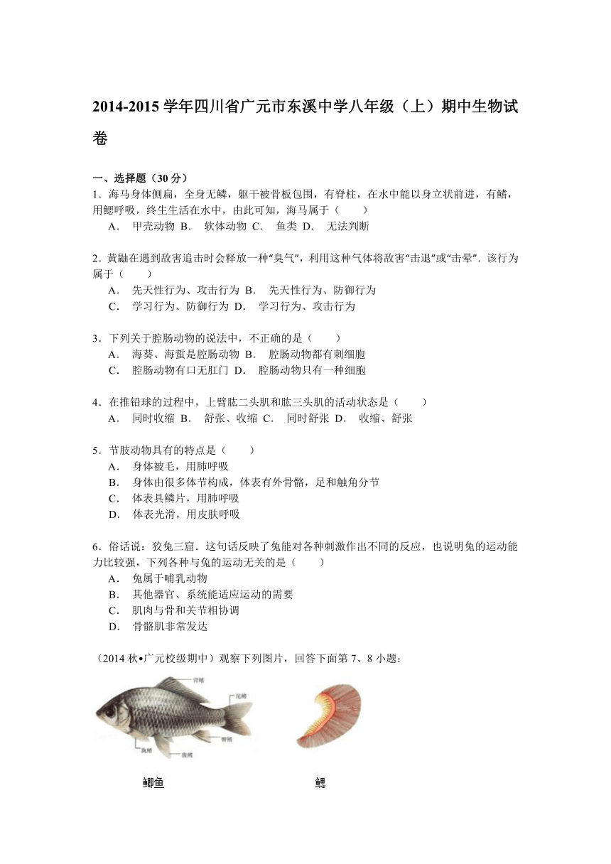 2014-2015学年四川省广元市东溪中学八年级（上）期中生物试卷解析