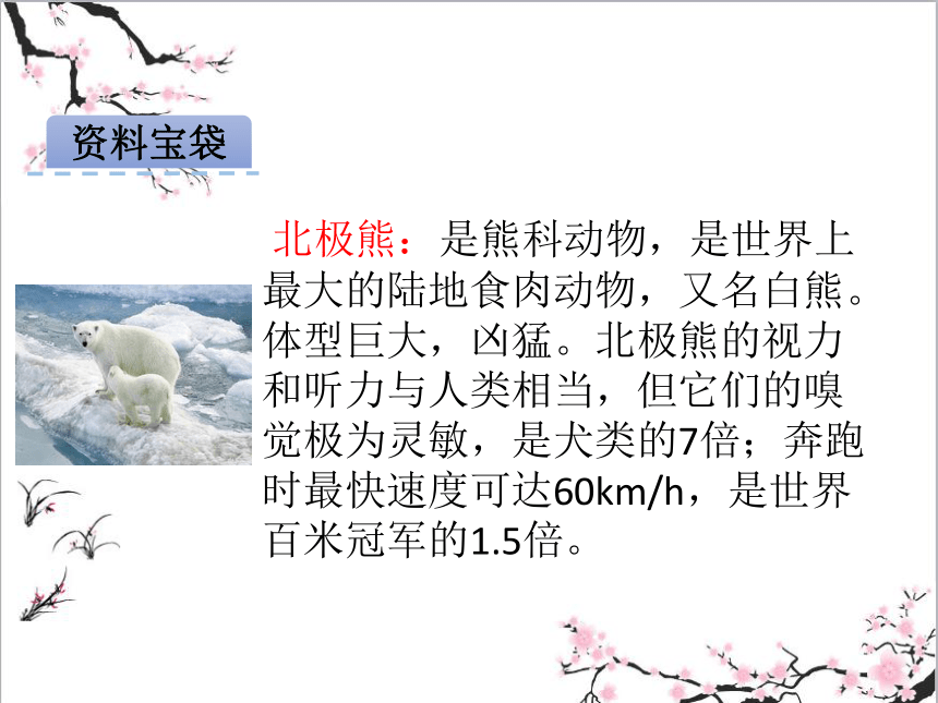 教科版（2018）语文三上 4 北极母熊过冬 课件