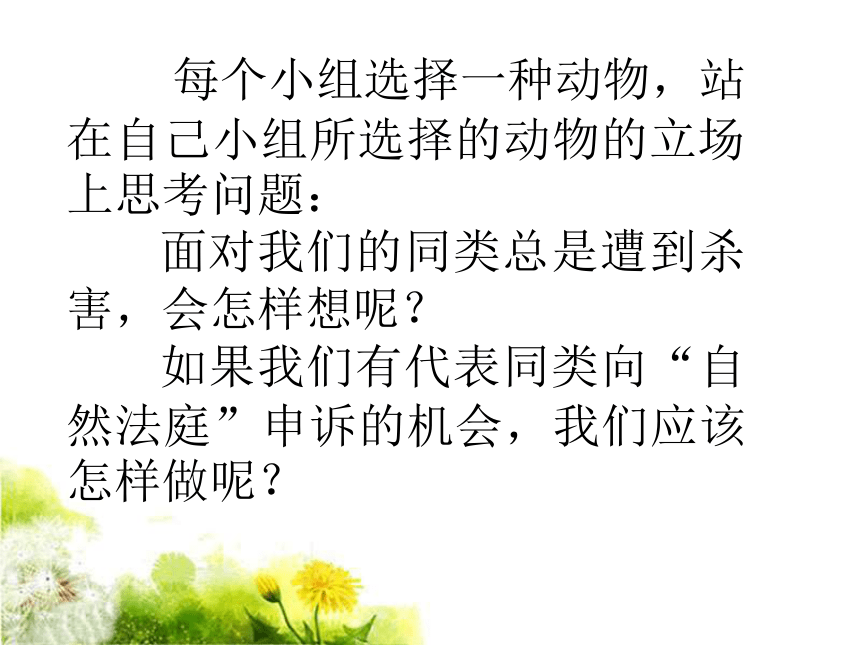 《如果我们是》课件1