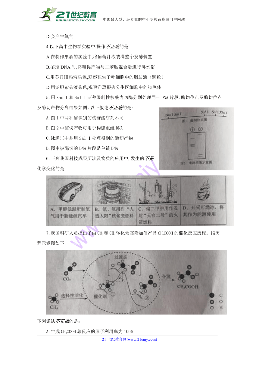 2018年高考北京卷理综真题试卷（Word版 无答案）