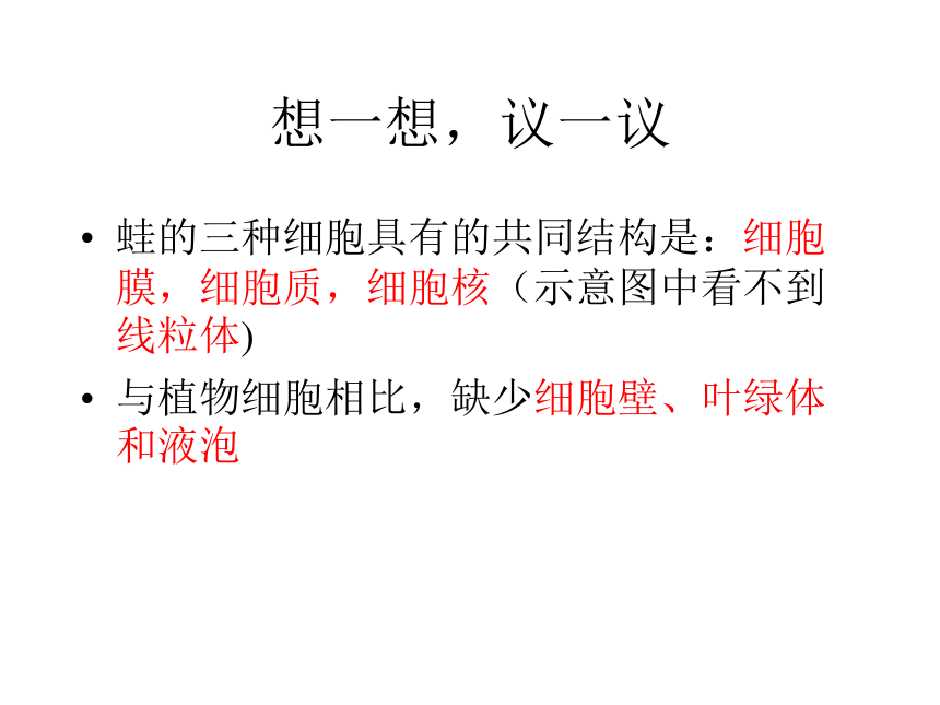 人教版七年级上册生物第二单元第一章第三节动物细胞（35张）