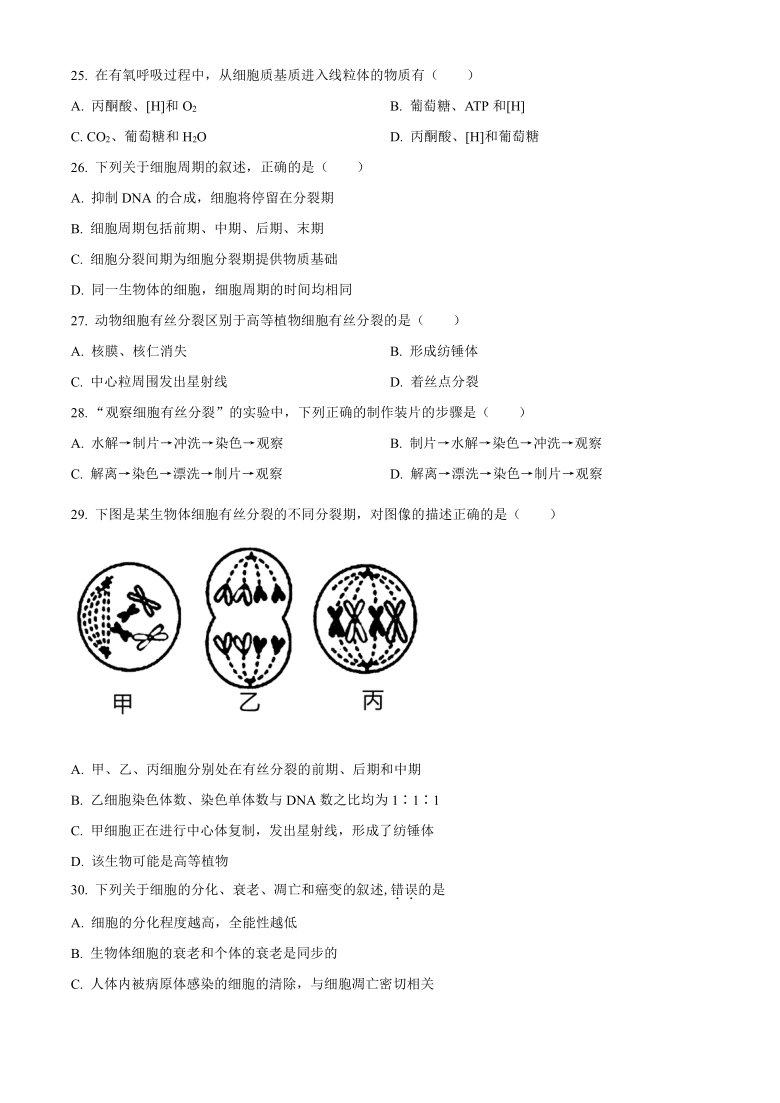 广西桂林市2020-2021学年高一上学期期末质量检测生物试题    含答案