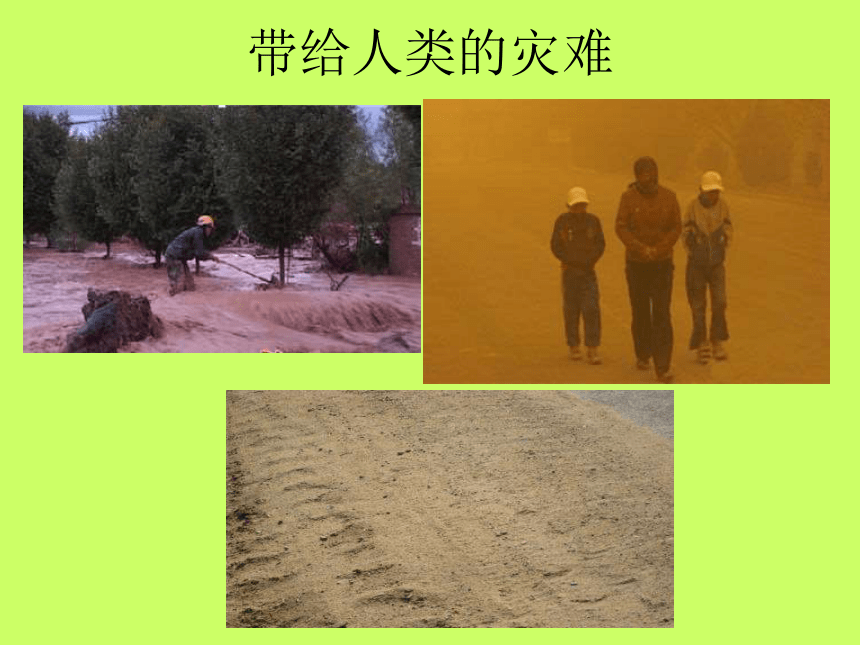 动物在生物圈中的作用 课件2