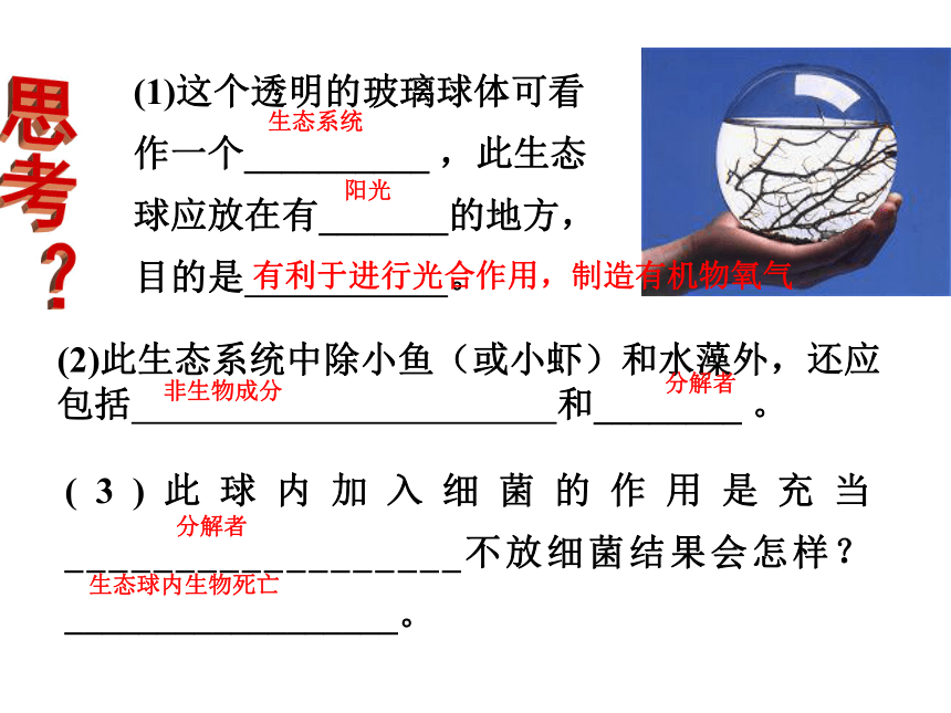 济南版八年级生物下册 专题八--_生态系统 复习课件（25张ppt）