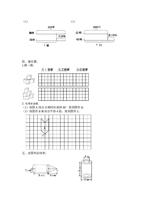 北师大小学数学六年级下册 衔接题 （含答案）