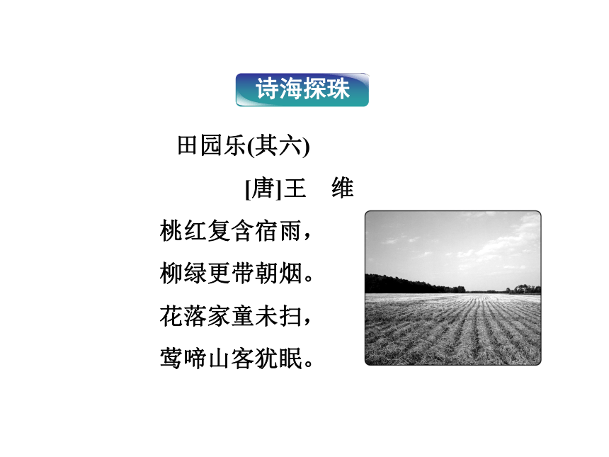 苏教语文选修《传记选读》专题二我在北京大学的经历