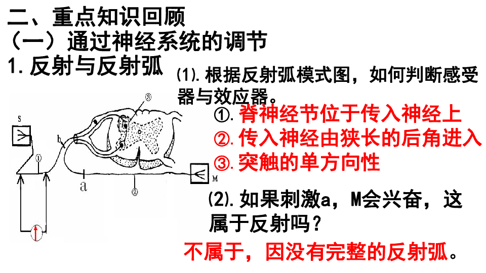 高中生物必修三第二章动物和人体生命活动的调节复习课件（54张）