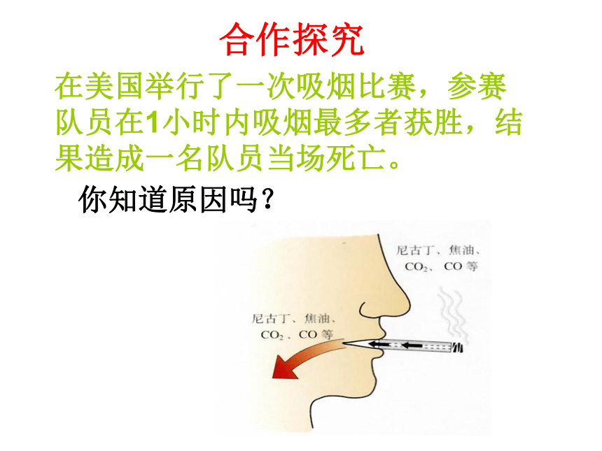 课题1 人类重要的营养物质(共26张PPT)