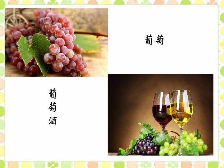 三年级上册科学课件-《来自果实和种子的食品》课件2北京版(共16张PPT)