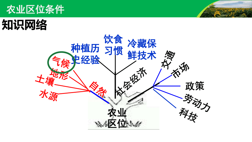 必修第二冊31農業區位因素課件共24張ppt