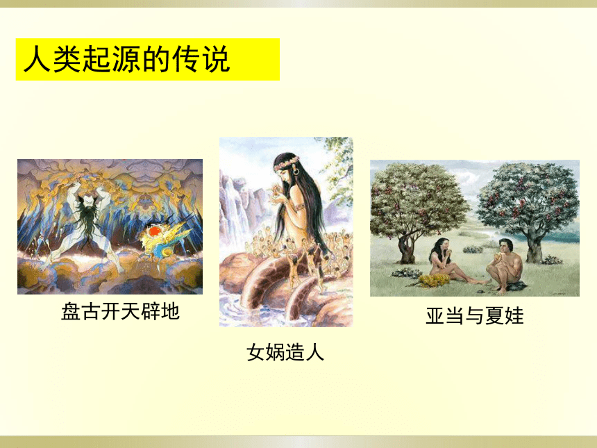 人教版七上第1课 中国早期人类的代表——北京人 课件（41张）