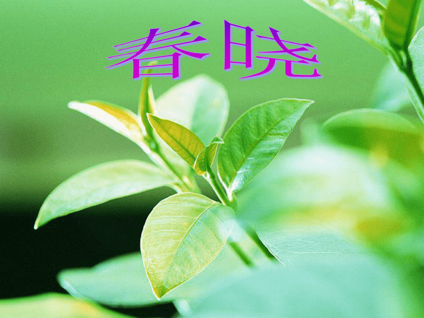 （聆听）春晓 课件 (6)