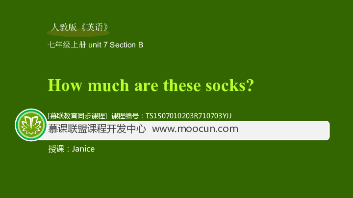 Unit 7 How much are these socks? 7.3 Section B（同步课件）