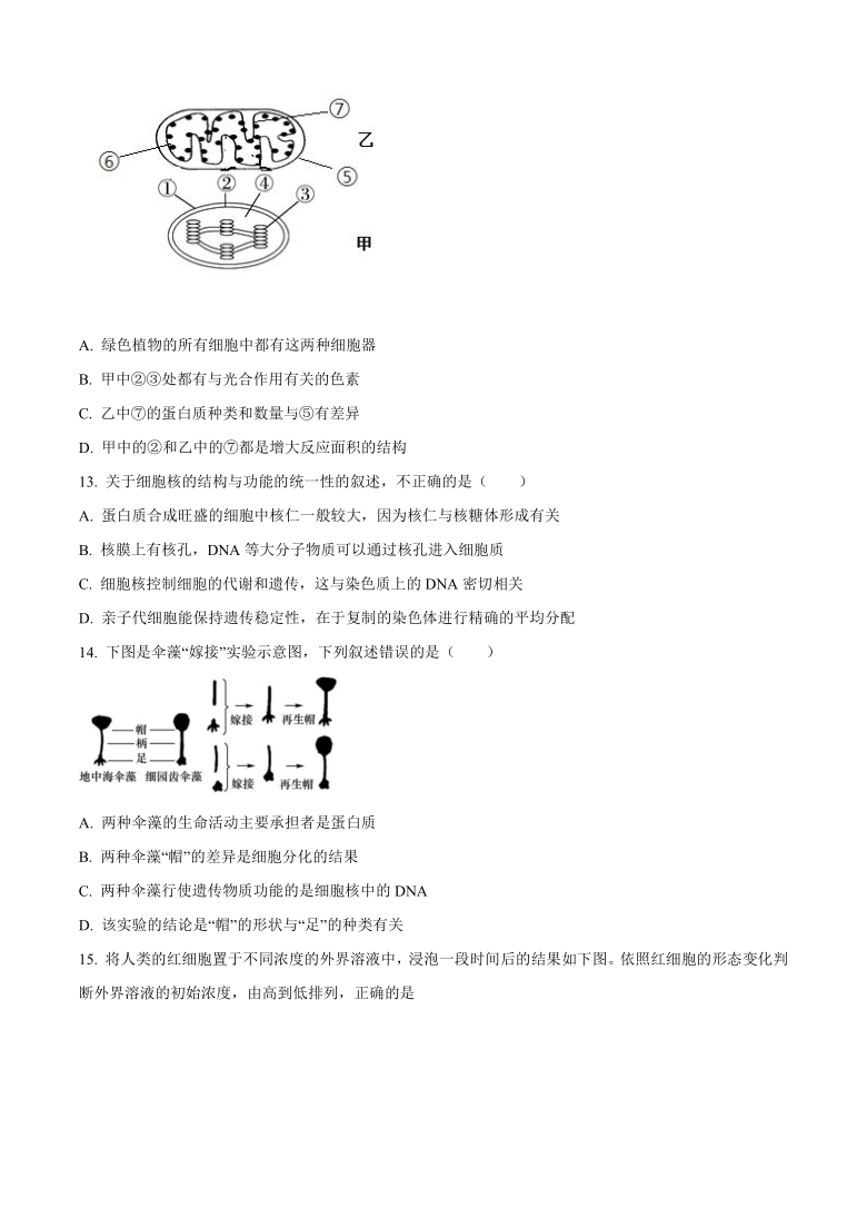 辽宁省大连市2020-2021学年高一上学期期末考试生物试题       含答案