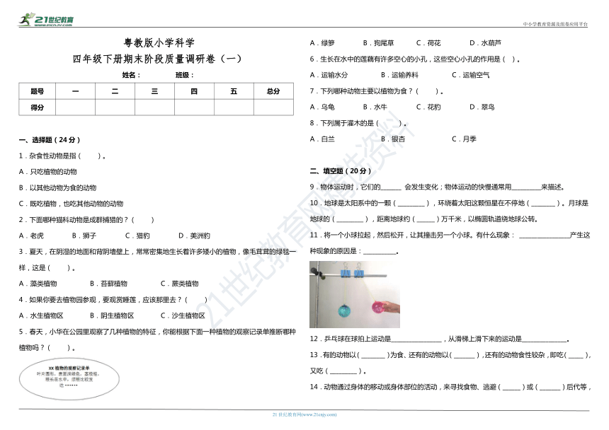 课件预览