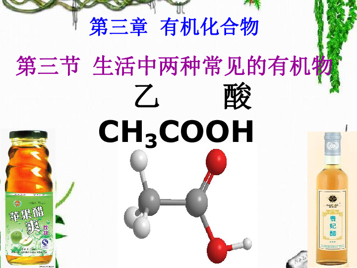 人教版高中化学必修二 3.3生活中两种常见的有机物-乙酸