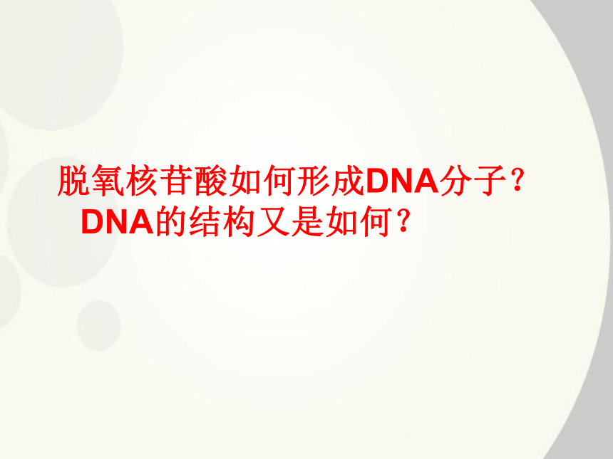 2020-2021 学年高一下学期生物人教版必修二第3章第2节DNA分子的结构 课件（38张ppt）