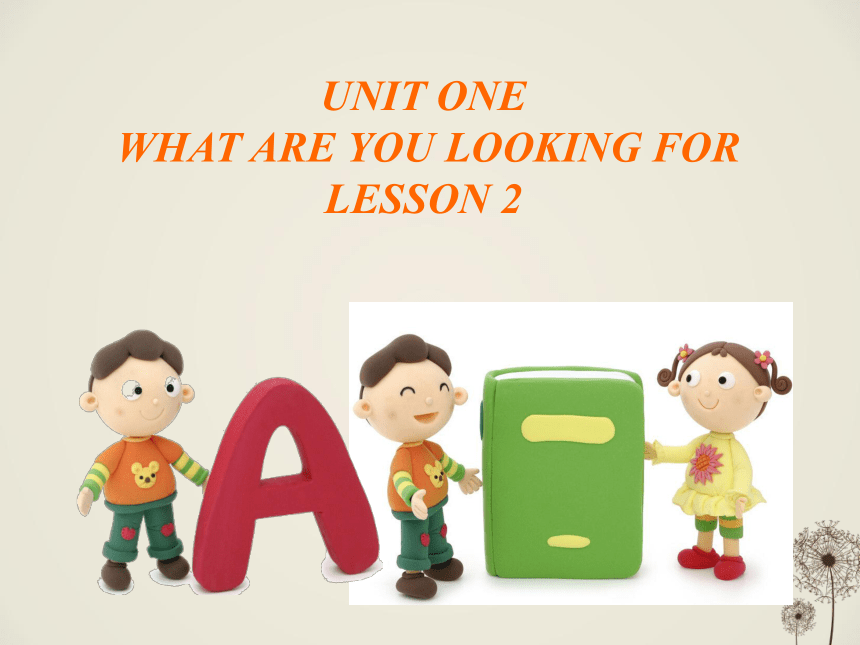 Unit 1 What are you looking for? Lesson 2 课件