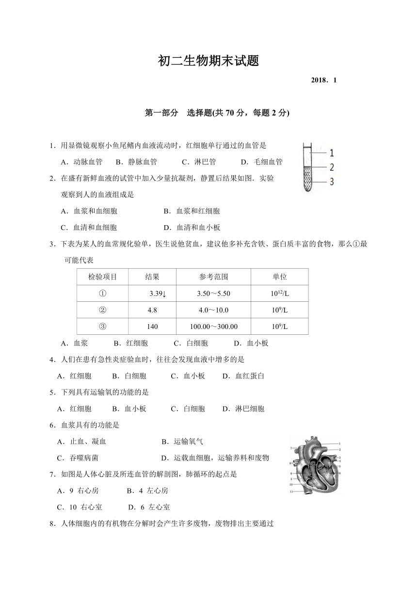 江苏省泰兴市2017-2018学年八年级上学期期末考试生物试题