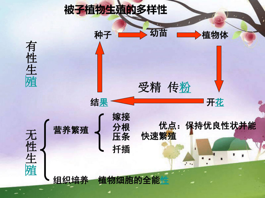 第2节植物的繁殖与发育