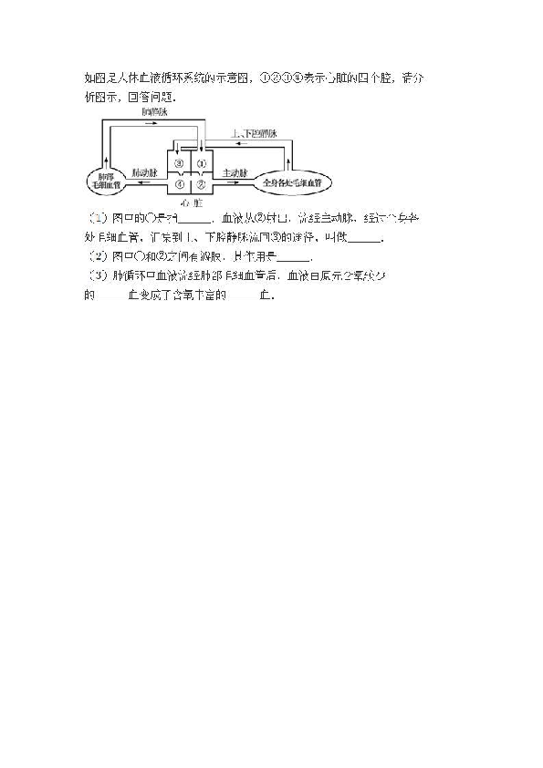 陕西省安康市汉滨区2018-2019学年八年级上学期期中考试生物试题