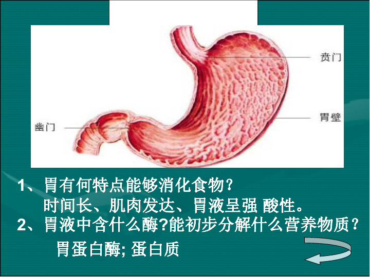 第三節 營養物質的吸收和利用