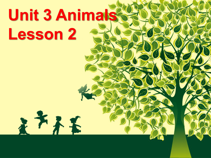 Unit 3 Animals Lesson 2 课件