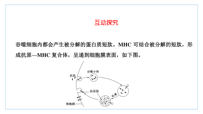 高二上學期生物浙科版選擇性必修1第四章第三節人體通過特異性免疫