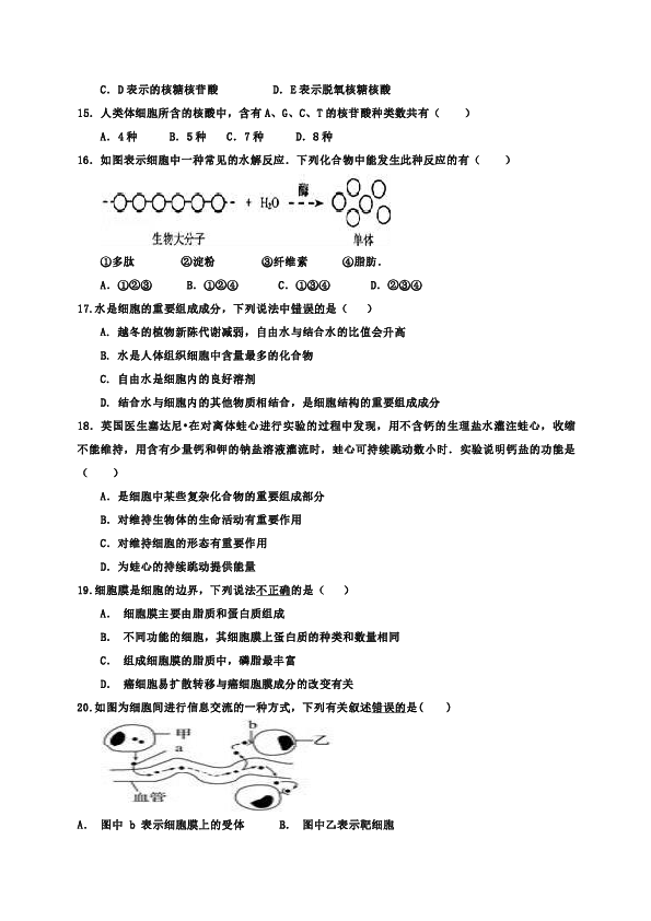 广东省韶关市新丰县第一中学2018-2018学年高一上学期期中考试生物试题