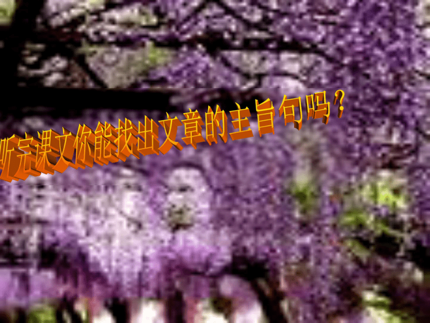 紫藤箩瀑布