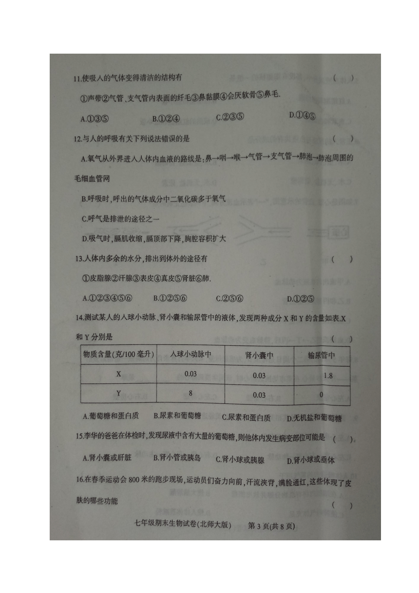 河北省廊坊市文安县2016-2017年七年级下学期末考试生物试题（图片版，含答案）