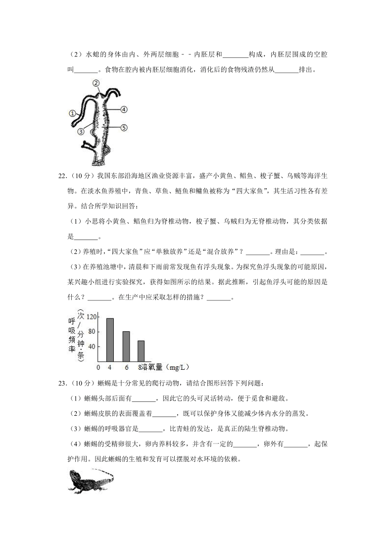 广东省汕头市潮南区两英镇2020-2021学年八年级（上）月考生物试卷（9月份）(解析版)