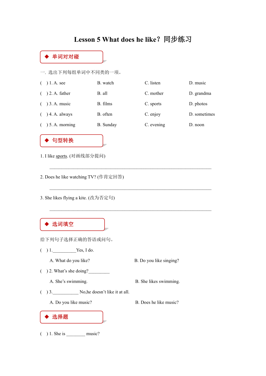 Lesson 5 What does he like？同步练习（含答案）