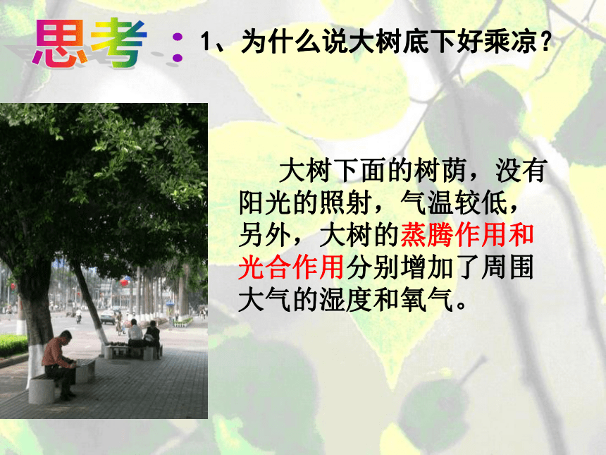 叶的蒸腾作用和结构