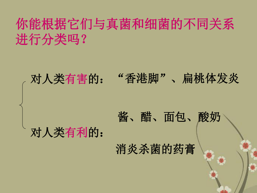 第五节人类对细菌和真菌的利用 课件51张PPT