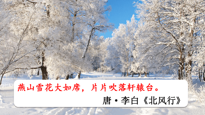 1 沁园春 雪 【统编九上语文最新精品课件 考点落实版】课件（51张PPT）