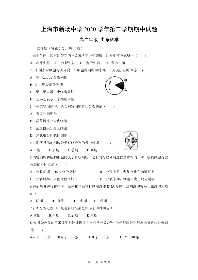 上海市新场高级中学校2020-2021学年高二下学期期中考试生物试题 Word版含答案