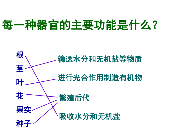 第三节 植物体的结构层次课件(18张ppt)