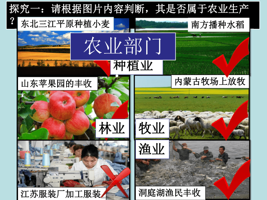 湘教版八年级地理上册4.1农业  课件（共34张PPT）