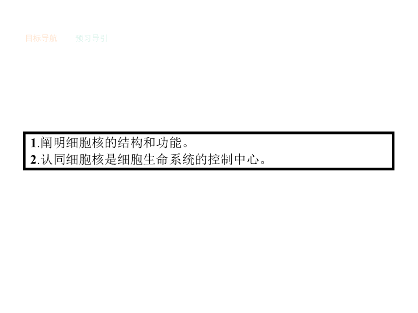 人教版生物必修1同步教学课件：3.3 细胞核——系统的控制中心