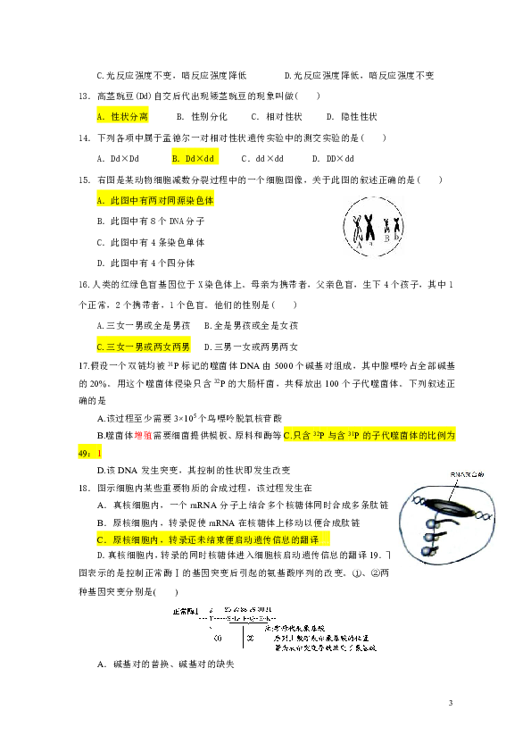 湖南省衡阳县四中2018-2019学年高二下学期期末考试生物试题（平行班）